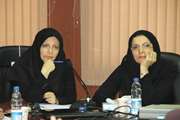 نشست کارشناسان مسئول مرکز بهداشت جنوب تهران و کارشناسان سلامت و پیشگیری 5 منطقه آموزش و پرورش